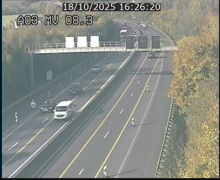 <h2>Webcam Autoroute après la Croix de Bettembourg en direction de Luxembourg sur l'A3</h2>