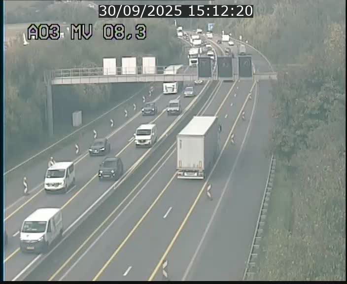 <h2>Webcam Autoroute après la Croix de Bettembourg en direction de Luxembourg sur l'A3</h2>