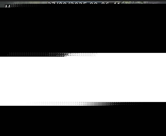 Webcam traffic A4 Luxembourg - BK 0.2 - P+R Bouillon (direction Luxembourg)