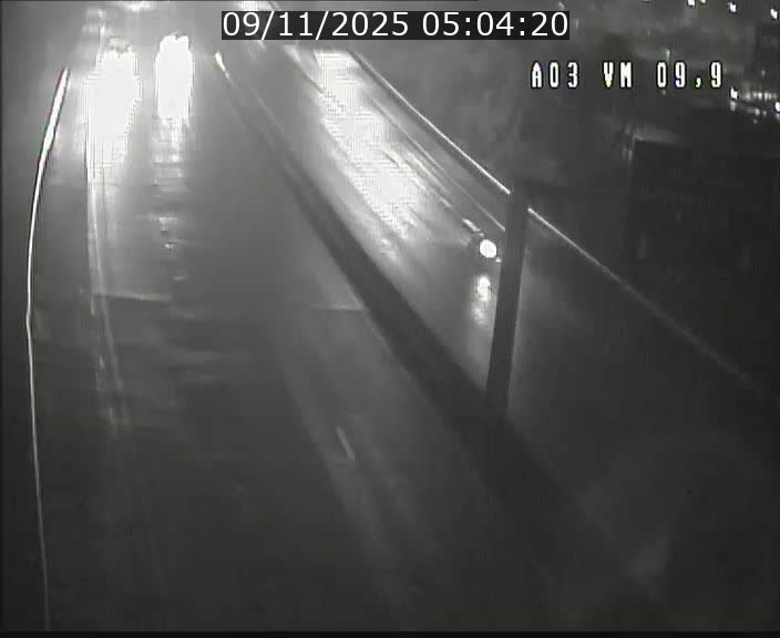 <h2>Webcam Autoroute à la Croix de Bettembourg - A3 - BK 9.9 - direction France</h2>