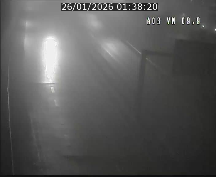 <h2>Webcam Autoroute à la Croix de Bettembourg - A3 - BK 9.9 - direction France</h2>