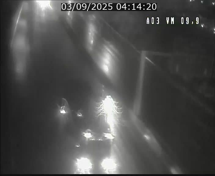 <h2>Webcam Autoroute à la Croix de Bettembourg - A3 - BK 9.9 - direction France</h2>