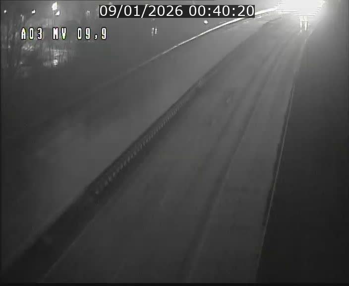 <h2>Webcam Autoroute à la Croix de Bettembourg - A3 - BK 9.9 - direction Luxembourg-Ville</h2>