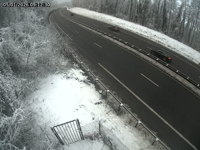 <h2>Caméra autoroute France - N52, Crusnes vers Belgique, Luxembourg</h2>
