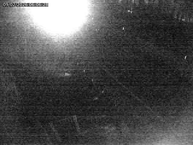 <h2>Caméra autoroute France - N52, Crusnes vers Belgique, Luxembourg</h2>