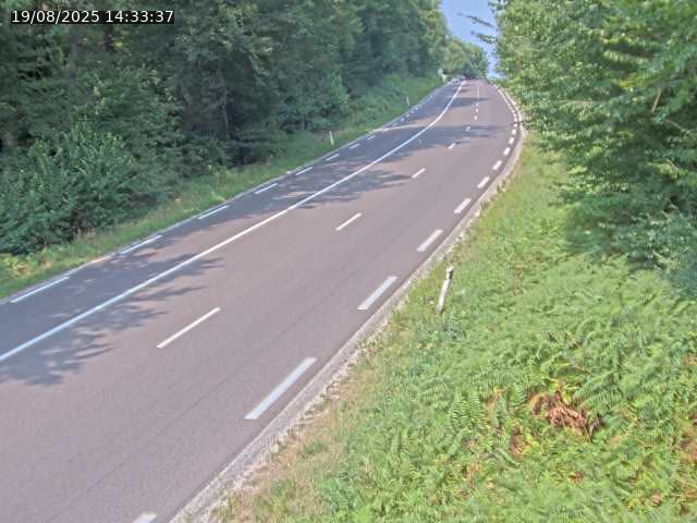 Caméra autoroute France - N57, Fougerolles direction Epinal