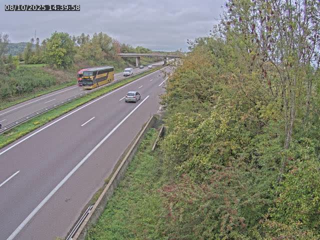 <h2>Caméra autoroute France - A31, Kanfen direction Luxembourg</h2>