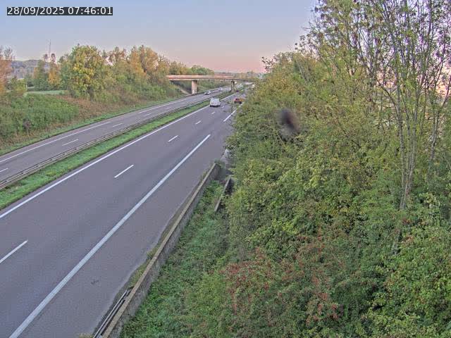 <h2>Caméra autoroute France - A31, Kanfen direction Luxembourg</h2>