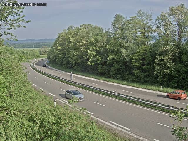 https://webcam.dir-est.fr/app.php/lastimg/25?284