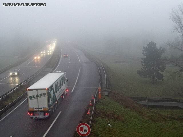 <h2>Caméra autoroute France - A31, Metz-centre direction Thionville</h2>