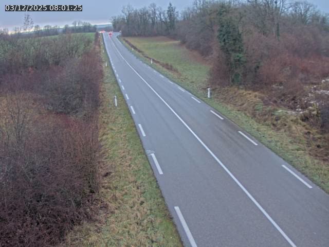 <h2>Webcam sur la Nationale 5 à Montrond, entre Champagnole et Barretaine</h2>