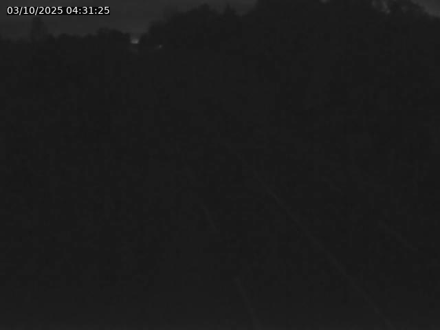<h2>Webcam sur la Nationale 5 à Montrond, entre Champagnole et Barretaine</h2>