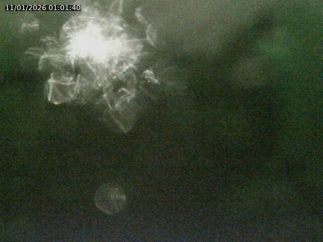 <h2>Caméra autoroute France - A33, Rosières direction Lunéville</h2>