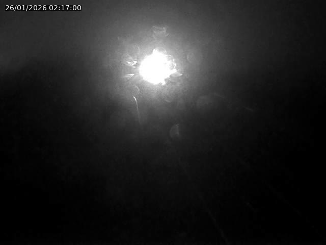 <h2>Caméra autoroute France - A33, Saint-Nicolas-de-Port direction Lunéville</h2>