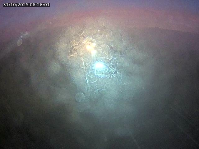 <h2>Caméra autoroute France - A33, Saint-Nicolas-de-Port direction Lunéville</h2>