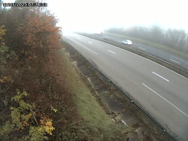 <h2>Webcam route sur la N59 à Flavigny-sur-Moselle à proximité de Nancy vers Epinal</h2>