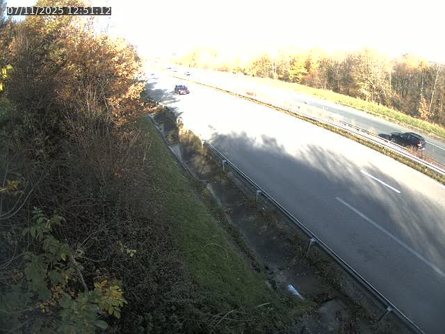 <h2>Webcam route sur la N59 à Flavigny-sur-Moselle à proximité de Nancy vers Epinal</h2>