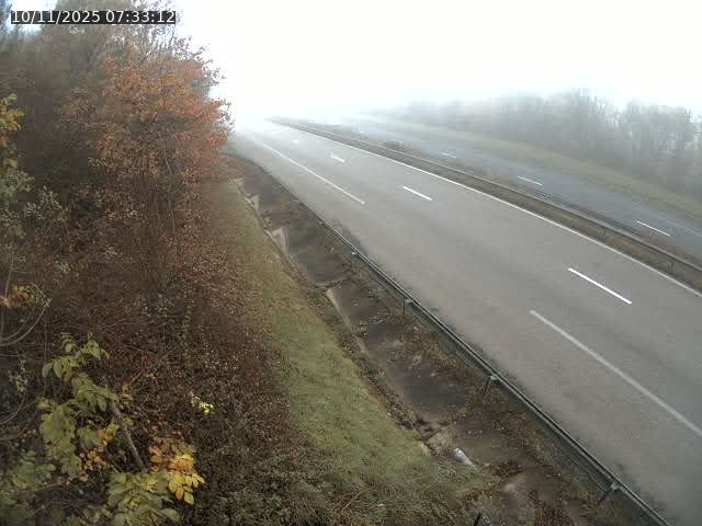 <h2>Webcam route sur la N59 à Flavigny-sur-Moselle à proximité de Nancy vers Epinal</h2>