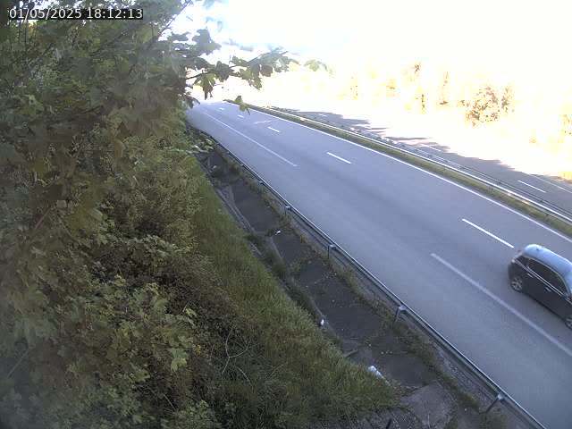 Webcam route sur la N59 à Flavigny-sur-Moselle à proximité de Nancy vers Epinal
