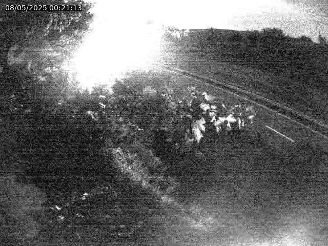 Webcam route sur la N59 à Flavigny-sur-Moselle à proximité de Nancy vers Epinal