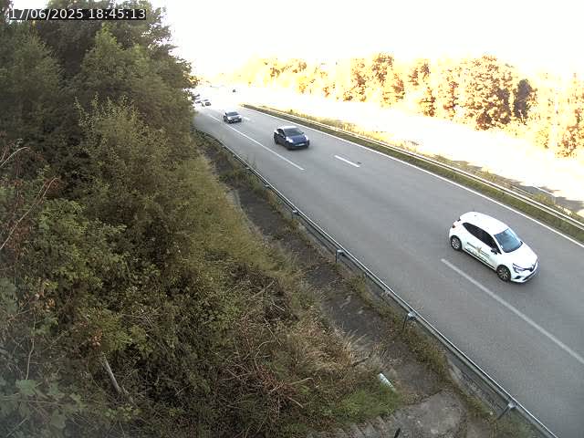 Webcam route sur la N59 à Flavigny-sur-Moselle à proximité de Nancy vers Epinal