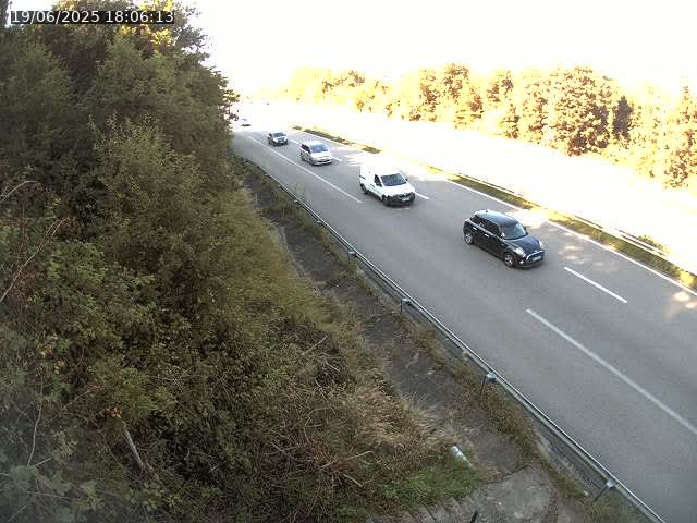 <h2>Webcam route sur la N59 à Flavigny-sur-Moselle à proximité de Nancy vers Epinal</h2>