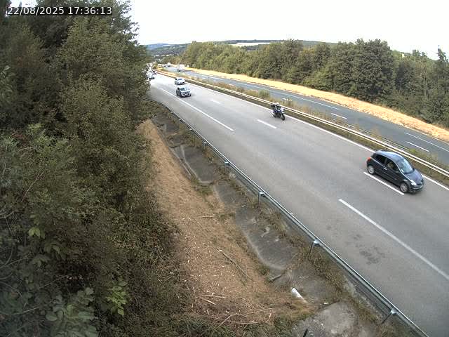 <h2>Webcam route sur la N59 à Flavigny-sur-Moselle à proximité de Nancy vers Epinal</h2>