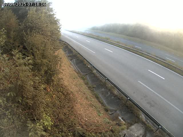 <h2>Webcam route sur la N59 à Flavigny-sur-Moselle à proximité de Nancy vers Epinal</h2>