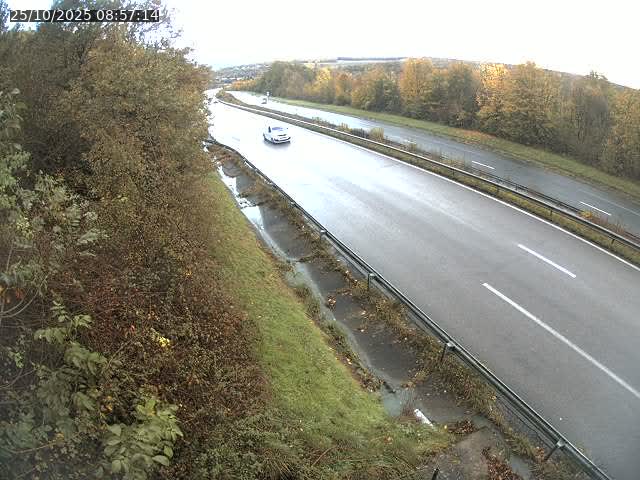 <h2>Webcam route sur la N59 à Flavigny-sur-Moselle à proximité de Nancy vers Epinal</h2>