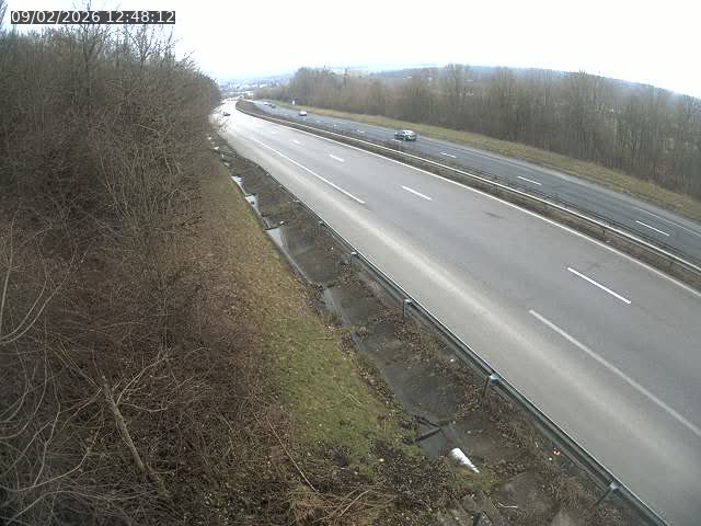 <h2>Webcam route sur la N59 à Flavigny-sur-Moselle à proximité de Nancy vers Epinal</h2>