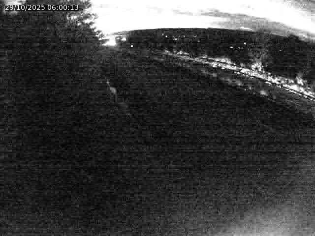 <h2>Webcam route sur la N59 à Flavigny-sur-Moselle à proximité de Nancy vers Epinal</h2>