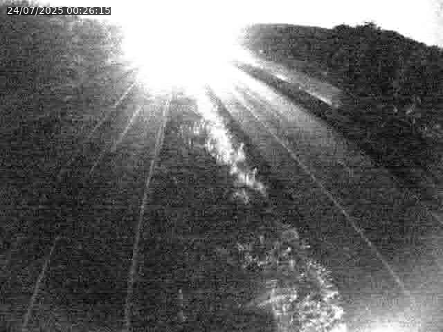 Caméra autoroute France - A31, Velaine-en-Haye direction Nancy