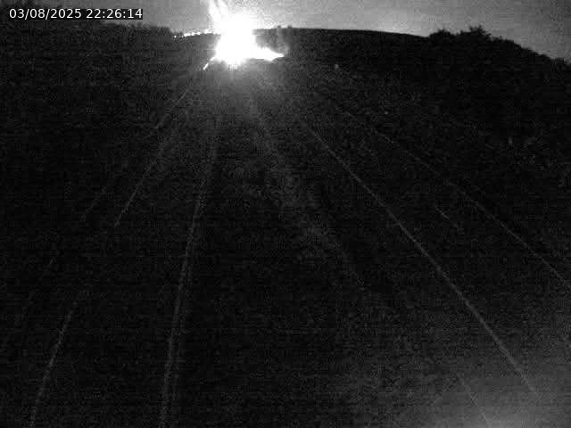 Caméra autoroute France - A31, Velaine-en-Haye direction Nancy