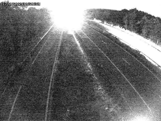 Caméra autoroute France - A31, Velaine-en-Haye direction Nancy