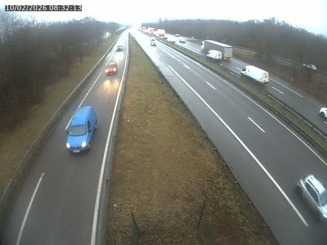 <h2>Caméra autoroute France - A31, Velaine-en-Haye direction Nancy</h2>