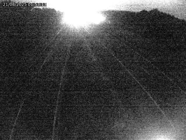 <h2>Caméra autoroute France - A31, Velaine-en-Haye direction Nancy</h2>