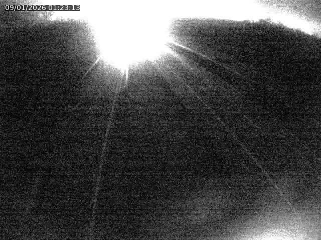 <h2>Caméra autoroute France - A31, Velaine-en-Haye direction Nancy</h2>