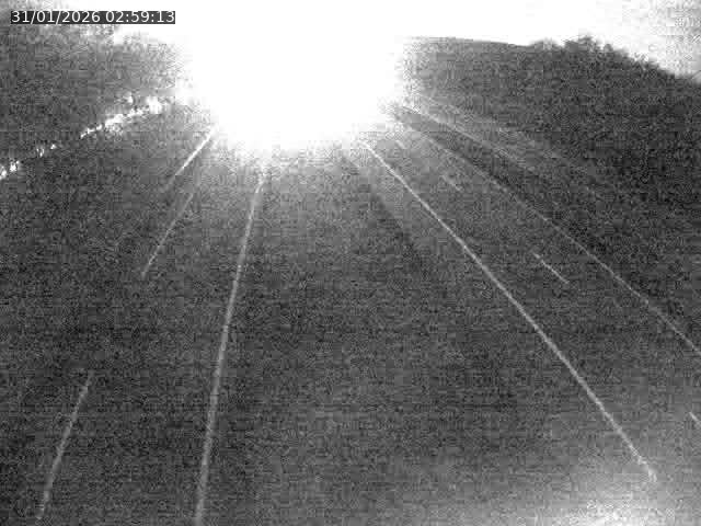 <h2>Caméra autoroute France - A31, Velaine-en-Haye direction Nancy</h2>