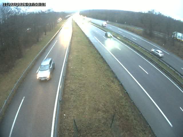 <h2>Caméra autoroute France - A31, Velaine-en-Haye direction Nancy</h2>