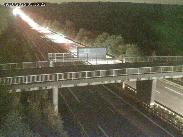 <h2>Caméra autoroute France - A31, Zoufftgen direction Luxembourg-ville, à la frontière entre la France et le Luxembourg</h2>