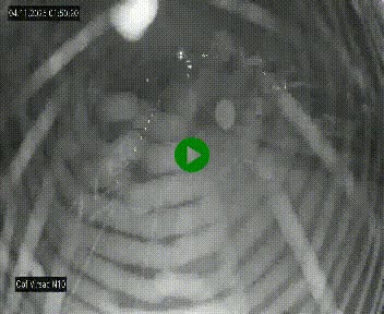 <h2>Vue en direct de l'autoroute A10 grâce à un drône situé au-dessus du péage de Virsac</h2>