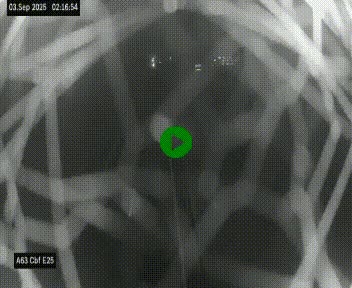 <h2>Webcam autoroute A63 en périphérie de Bordeaux au sud-est de la ville, en provenance du bassin d'Arcachon. Vue orientée vers Bordeaux</h2>