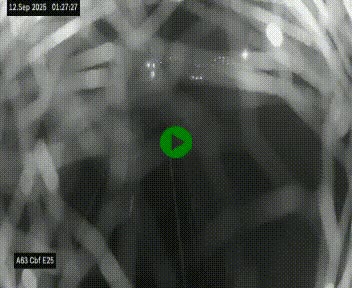 <h2>Webcam autoroute A63 en périphérie de Bordeaux au sud-est de la ville, en provenance du bassin d'Arcachon. Vue orientée vers Bordeaux</h2>