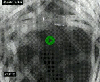 <h2>Webcam autoroute A63 en périphérie de Bordeaux au sud-est de la ville, en provenance du bassin d'Arcachon. Vue orientée vers Bordeaux</h2>