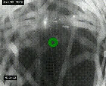<h2>Webcam autoroute A63 en périphérie de Bordeaux au sud-est de la ville, en provenance du bassin d'Arcachon. Vue orientée vers Bordeaux</h2>