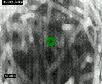 [title]