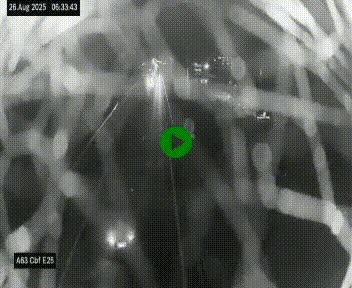Webcam autoroute A63 en périphérie de Bordeaux au sud-est de la ville, en provenance du bassin d'Arcachon. Vue orientée vers Bordeaux