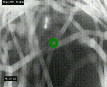 Webcam autoroute A63 en périphérie de Bordeaux au sud-est de la ville, en provenance du bassin d'Arcachon. Vue orientée vers Bordeaux