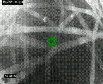 <h2>Webcam autoroute A63 en périphérie de Bordeaux au sud-est de la ville, en provenance du bassin d'Arcachon. Vue orientée vers Bordeaux</h2>