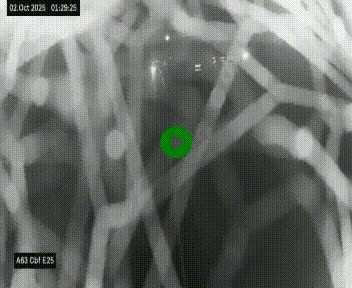 <h2>Webcam autoroute A63 en périphérie de Bordeaux au sud-est de la ville, en provenance du bassin d'Arcachon. Vue orientée vers Bordeaux</h2>
